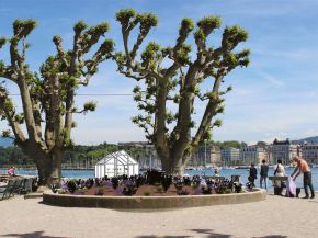 Viviane Rabaud - Installation aux Bains des Pâquis - Genève