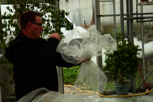 La Ferme de Chosal - Marc Limousin : Nuages ou Culture d’imaginaires 2017